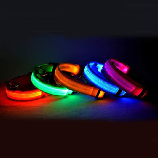 LED Dog Safety Collar (USB Rechargeable or Battery) | Night-Visibility, 4 Light Modes, Adjustable Nylon