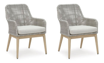 Seton Creek Arm Chair With Cushion (2/CN)